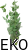 pokrzywa_pęczek300g1-bezTla.png